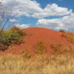 Muzyczne Podróże Przez Świat. Madagaskar (10 grudnia 2016) / Prof. Danuta Rasała / Radio Kielce