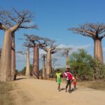 Muzyczne Podróże Przez Świat. Madagaskar (10 grudnia 2016) / Prof. Danuta Rasała / Radio Kielce