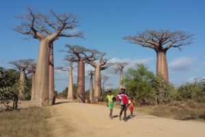 Muzyczne Podróże Przez Świat. Madagaskar (10 grudnia 2016) / Prof. Danuta Rasała / Radio Kielce