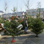 Jarmark Bożonarodzeniowy na kieleckim Rynku (17 grudnia 2016) / Wojciech Habdas / Radio Kielce