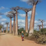 Muzyczne Podróże Przez Świat. Madagaskar (10 grudnia 2016) / Prof. Danuta Rasała / Radio Kielce