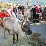 Jarmark Bożonarodzeniowy na kieleckim Rynku (17 grudnia 2016) / Wojciech Habdas / Radio Kielce