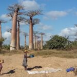 Muzyczne Podróże Przez Świat. Madagaskar (10 grudnia 2016) / Prof. Danuta Rasała / Radio Kielce