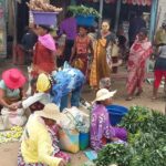 Muzyczne Podróże Przez Świat. Madagaskar (10 grudnia 2016) / Prof. Danuta Rasała / Radio Kielce