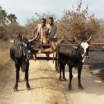 Muzyczne Podróże Przez Świat. Madagaskar (10 grudnia 2016) / Prof. Danuta Rasała / Radio Kielce