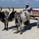 Muzyczne Podróże Przez Świat. Madagaskar (10 grudnia 2016) / Prof. Danuta Rasała / Radio Kielce