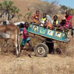 Muzyczne Podróże Przez Świat. Madagaskar (10 grudnia 2016) / Prof. Danuta Rasała / Radio Kielce