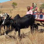 Muzyczne Podróże Przez Świat. Madagaskar (10 grudnia 2016) / Prof. Danuta Rasała / Radio Kielce