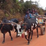 Muzyczne Podróże Przez Świat. Madagaskar (10 grudnia 2016) / Prof. Danuta Rasała / Radio Kielce