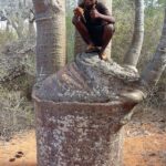 Muzyczne Podróże Przez Świat. Madagaskar (10 grudnia 2016) / Prof. Danuta Rasała / Radio Kielce