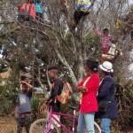 Muzyczne Podróże Przez Świat. Madagaskar (10 grudnia 2016) / Prof. Danuta Rasała / Radio Kielce