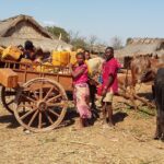 Muzyczne Podróże Przez Świat. Madagaskar (10 grudnia 2016) / Prof. Danuta Rasała / Radio Kielce