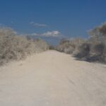 Muzyczne Podróże Przez Świat. Madagaskar (10 grudnia 2016) / Prof. Danuta Rasała / Radio Kielce