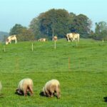 Austria. Bischofshofen - okolice / Robert Felczak / Radio Kielce