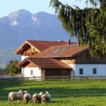 Austria. Bischofshofen - okolice / Robert Felczak / Radio Kielce