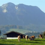 Austria. Bischofshofen - okolice / Robert Felczak / Radio Kielce