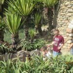 Malaga / Katarzyna Pietrusińska