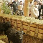 25.12.2016. Żywa szopka w kościele garnizonowym w Kielcach / Jarosław Kubalski / Radio Kielce