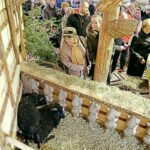 25.12.2016. Żywa szopka w kościele garnizonowym w Kielcach / Jarosław Kubalski / Radio Kielce