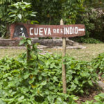 Kuba / prof. Bożena Zawadzka / prof. Ewa Nowak / Radio Kielce