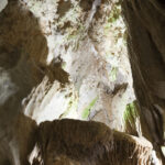 Kuba / prof. Bożena Zawadzka / prof. Ewa Nowak / Radio Kielce