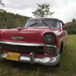 Kuba / prof. Bożena Zawadzka / prof. Ewa Nowak / Radio Kielce