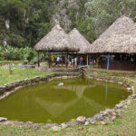 Kuba / prof. Bożena Zawadzka / prof. Ewa Nowak / Radio Kielce