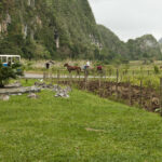 Kuba / prof. Bożena Zawadzka / prof. Ewa Nowak / Radio Kielce