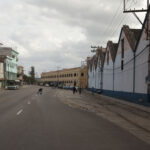 Kuba / prof. Bożena Zawadzka / prof. Ewa Nowak / Radio Kielce