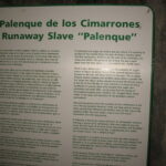 Kuba / prof. Bożena Zawadzka / prof. Ewa Nowak / Radio Kielce