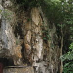 Kuba / prof. Bożena Zawadzka / prof. Ewa Nowak / Radio Kielce