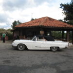 Kuba /  prof. Bożena Zawadzka / prof. Ewa Nowak  / Radio Kielce