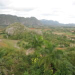 Kuba /  prof. Bożena Zawadzka / prof. Ewa Nowak  / Radio Kielce