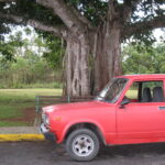 Kuba /  prof. Bożena Zawadzka / prof. Ewa Nowak  / Radio Kielce