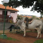 Kuba /  prof. Bożena Zawadzka / prof. Ewa Nowak  / Radio Kielce