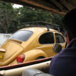 Kuba /  prof. Bożena Zawadzka / prof. Ewa Nowak  / Radio Kielce