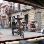 Kuba /  prof. Bożena Zawadzka / prof. Ewa Nowak  / Radio Kielce