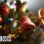 Choinka pod choinkę_drzewko#1 / Radio Kielce