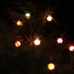 Kazimierza Wielka udekorowana na Święta Bożego Narodzenia / Kamil Włosowicz / Radio Kielce