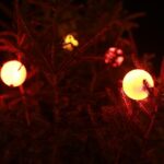 Kazimierza Wielka udekorowana na Święta Bożego Narodzenia / Kamil Włosowicz / Radio Kielce