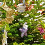 14.12.2016 Kielce. "Choinka pod choinkę". Choinka z Ostrowca Świętokrzyskiego. / Jarosław Kubalski / Radio Kielce