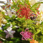 14.12.2016 Kielce. "Choinka pod choinkę". Choinka z Ostrowca Świętokrzyskiego. / Jarosław Kubalski / Radio Kielce