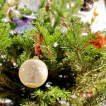 14.12.2016 Kielce. "Choinka pod choinkę". Choinka z Ostrowca Świętokrzyskiego. / Jarosław Kubalski / Radio Kielce