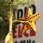 14.12.2016 Kielce. "Choinka pod choinkę". Choinka z Ostrowca Świętokrzyskiego. / Jarosław Kubalski / Radio Kielce