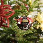 14.12.2016 Kielce. "Choinka pod choinkę". Choinka z Ostrowca Świętokrzyskiego. / Jarosław Kubalski / Radio Kielce