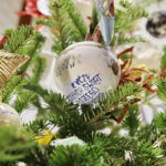 14.12.2016 Kielce. "Choinka pod choinkę". Choinka z Ostrowca Świętokrzyskiego. / Jarosław Kubalski / Radio Kielce