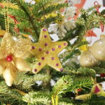 14.12.2016 Kielce. "Choinka pod choinkę". Choinka z Ostrowca Świętokrzyskiego. / Jarosław Kubalski / Radio Kielce