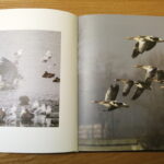 15.12.2016 Ostrowiec Świętokrzyski. "Choinka pod choinkę". Studio  odwiedził Marek Cichosz, zastępca dyrektora MCK w Ostrowcu z prezentami. / Jarosław Kubalski / Radio Kielce