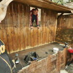 19.12.2016 Święty Krzyż. Pracownicy Kieleckiego Centrum Kultury budują szopkę bożonarodzeniową. / Jarosław Kubalski / Radio Kielce