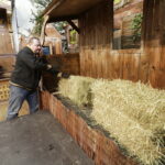 19.12.2016 Święty Krzyż. Pracownicy Kieleckiego Centrum Kultury budują szopkę bożonarodzeniową. / Jarosław Kubalski / Radio Kielce